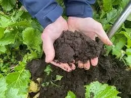 Organic Herb Potting Mix